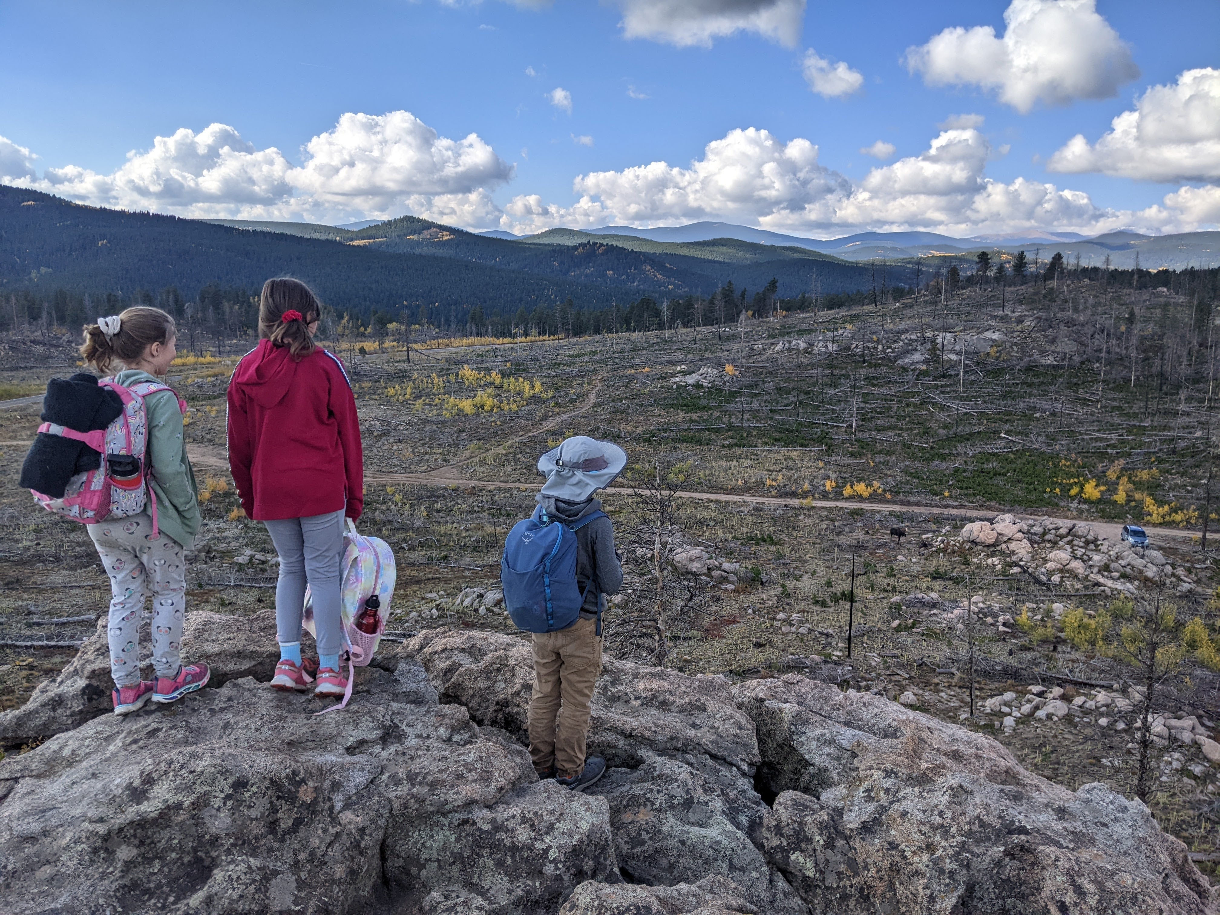 Students examine a recovering wildfire burn area as part of a Wild Bear lesson led by an AmeriCorps member serving there