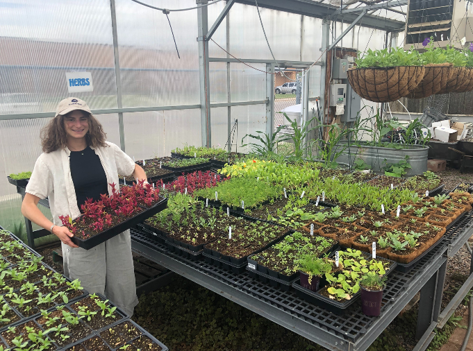 A service member in the greenhouse at School Food Project