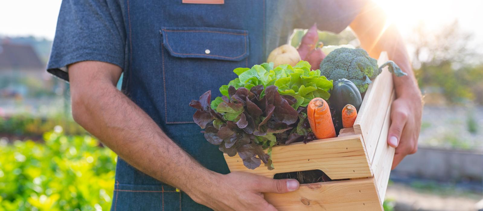 holding box of produce